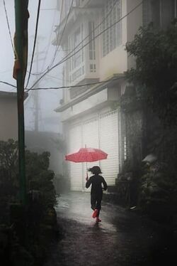 Christophe Jacrot