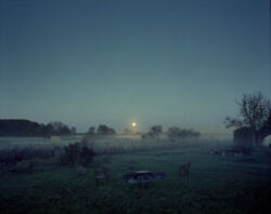 Home # VII (Tyskland 2017-25)