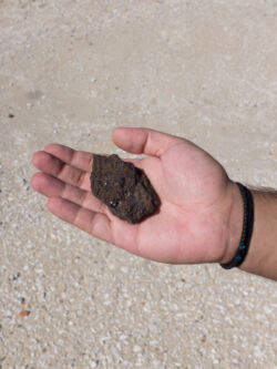 Σώτη Τυρολόγου - From the series PAGGAIO, Northern Greece