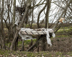 Τάσος Ζωίδης