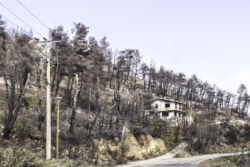 Παναγιώτης Κοζομπόλης