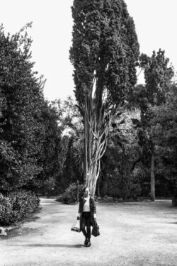 Ελένη Νύκταρη