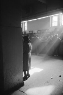 Πλούταρχος Χαλόφτης