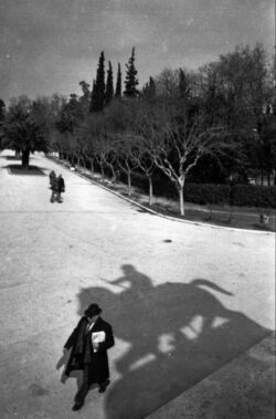 Πλούταρχος Χαλόφτης