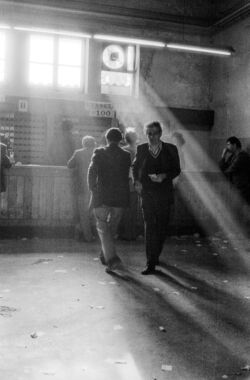 Πλούταρχος Χαλόφτης