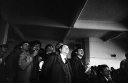 Πλούταρχος Χαλόφτης