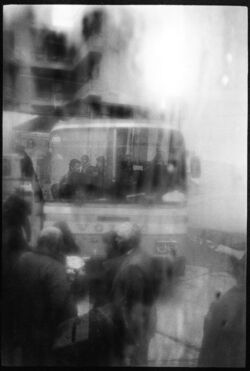 Πλούταρχος Χαλόφτης