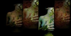 Σοφία Δαλαμάγκα