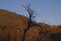 Αχιλλέας Παπαχρήστου