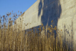 Άρτεμις Ελευθερίου