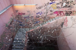 Κώστας Γρηγορόπουλος