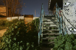 Δημήτρης Χατζηβογιατζής