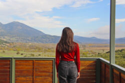 Ιφιγένεια Σάκκου