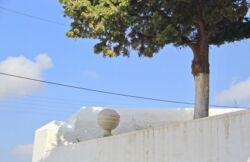 Ιφιγένεια Σάκκου