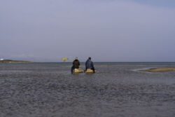 Χαρά Κυπρούλη