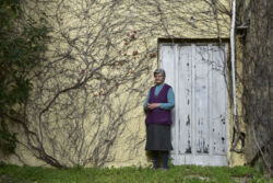 Όλγα Καμπούρη