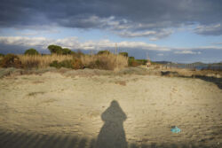 Μαρία Παλάσκα