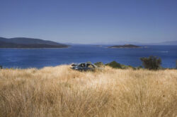 Σπυριδούλα Σουλιώτη