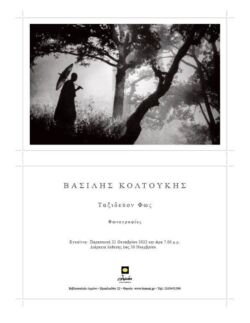 Βασίλης Κολτούκης