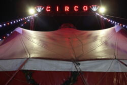 Κοσμάς Εμμόγλου