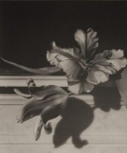 Horst P. Horst