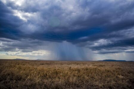 Μάρω Κουρή - Τανζανία