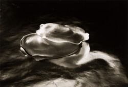 Ruth Bernhard