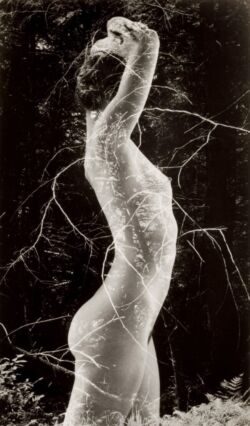 Ruth Bernhard