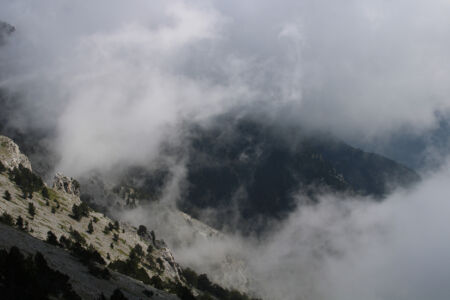 Βασιλίνα Βάσσου