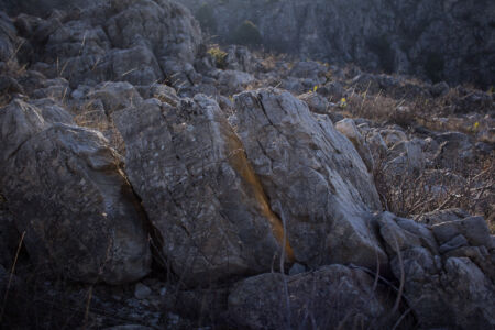 Φανή Βόικου