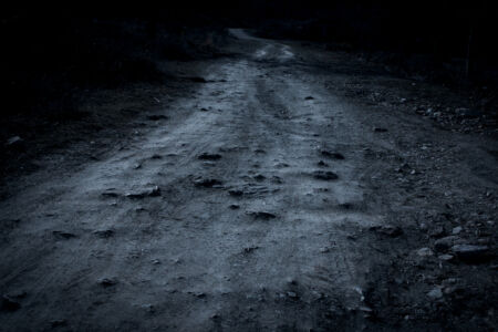 Φανή Βόικου