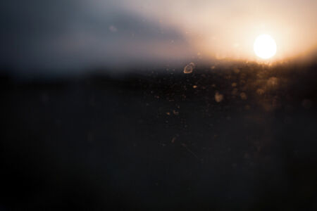 Φανή Βόικου