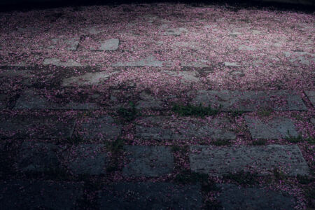 Ηλίας Κεσίσογλου