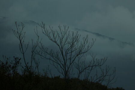 Δημήτρης Λιόφης