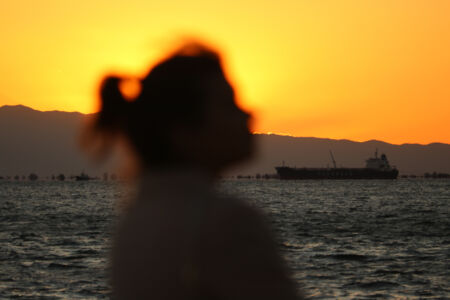 Δημήτρης Λιόφης