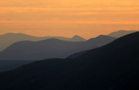 Δημήτρης Λιόφης