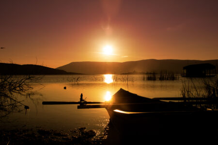 Νίκος Μητρίας
