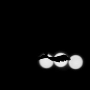 Νίκος Μητρίας