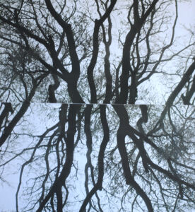 Κατερίνα Μπόνου