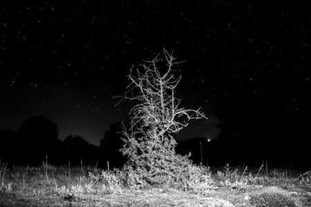 Παναγιώτης Σάρμας