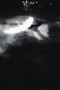 Παναγιώτης Σάρμας