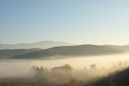 Ορέστης Σαρηγκιόλης