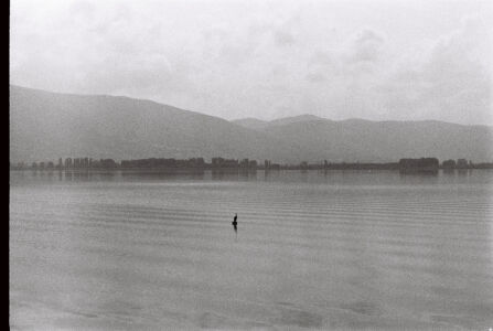 Ορέστης Σαρηγκιόλης