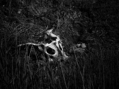 Μένη Σεϊρίδου