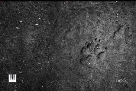 Μένη Σεϊρίδου