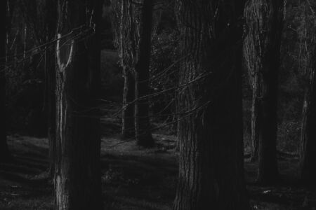 Τάσος Τζιώγας