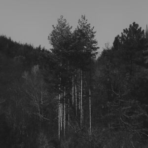 Τάσος Τζιώγας