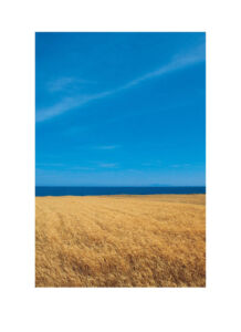 Γιώργος Δεπόλλας - Από τη σειρά ΤΑΞΙΔΩΤΙΚΗ ΦΩΤΟΓΡΑΦΙΑ