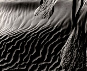 Brett Weston