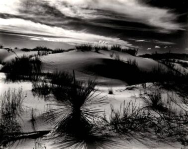 Brett Weston